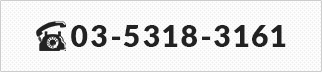 TEL:03-5318-3161